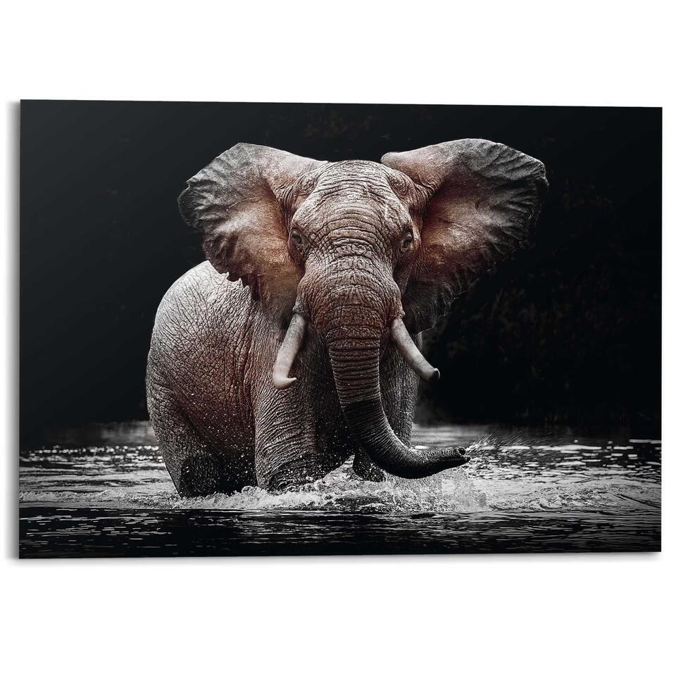 Schilderij Olifant – 100 x 140 – Zwart