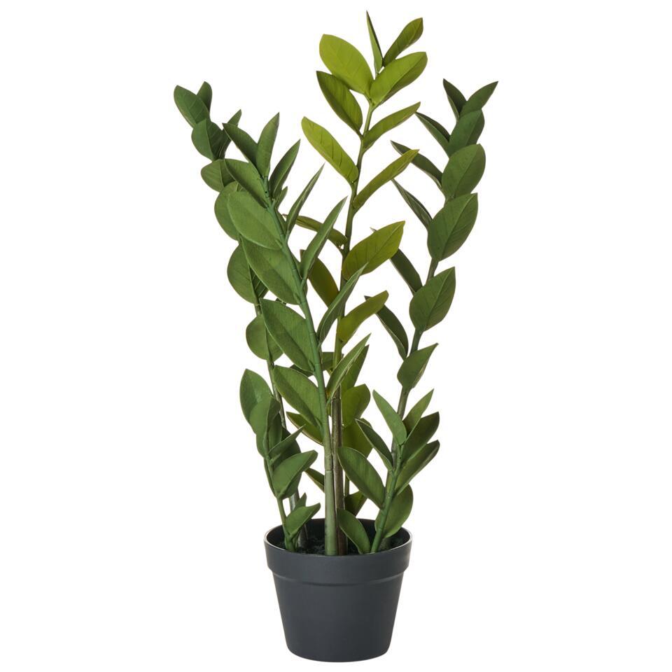 ZAMIIFOLIA – Kunstplant – Groen – 76 cm – Synthetisch materiaal