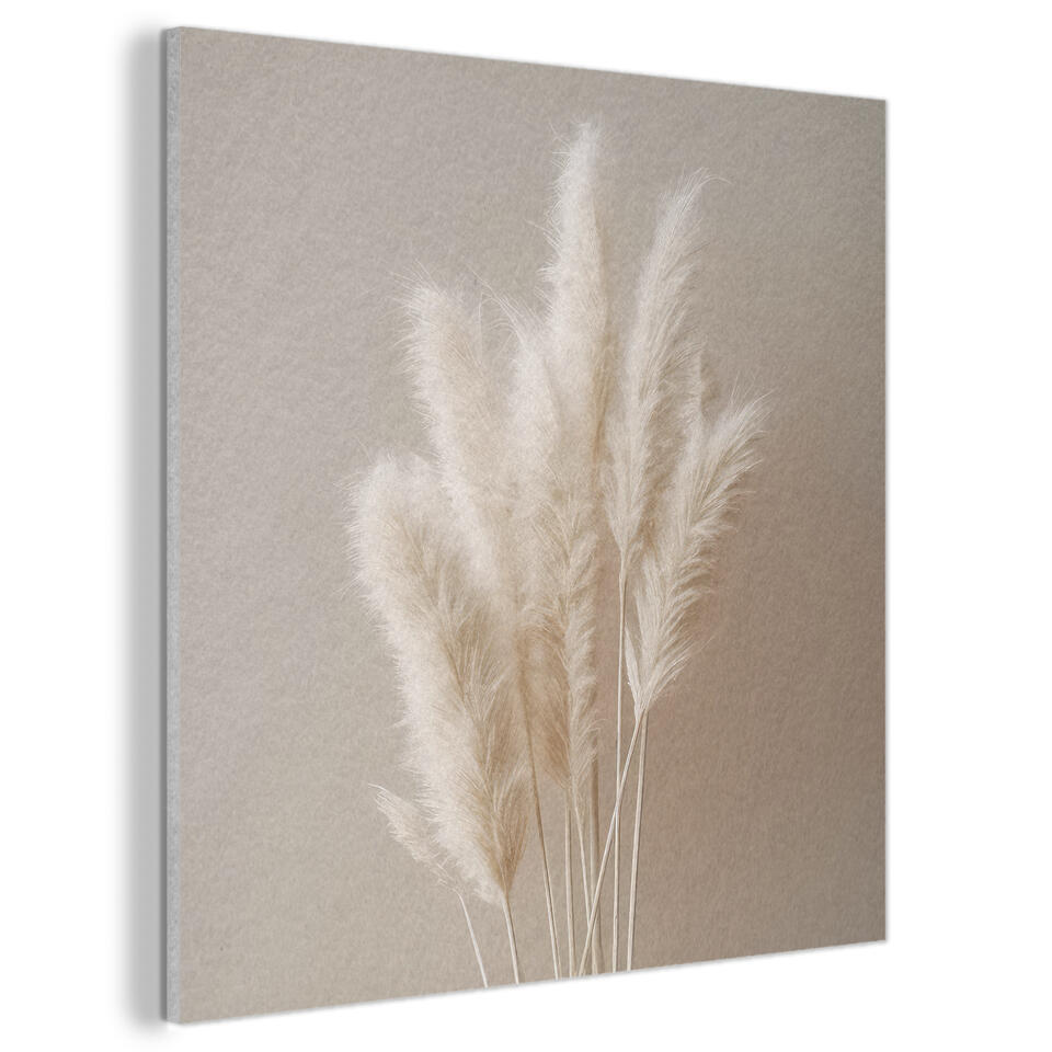 Akoestisch Schilderij 90×90 cm Pampasgras – Pluimen – Pastel – Wit