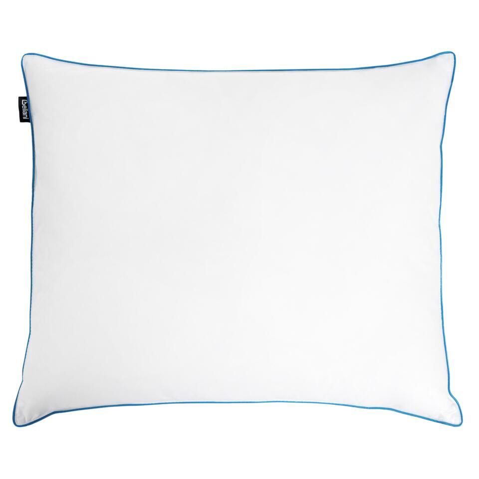 ANETO – Hoofdkussen 3 vakken – Wit – 50 x 60 cm – Hoog – Eendenveren