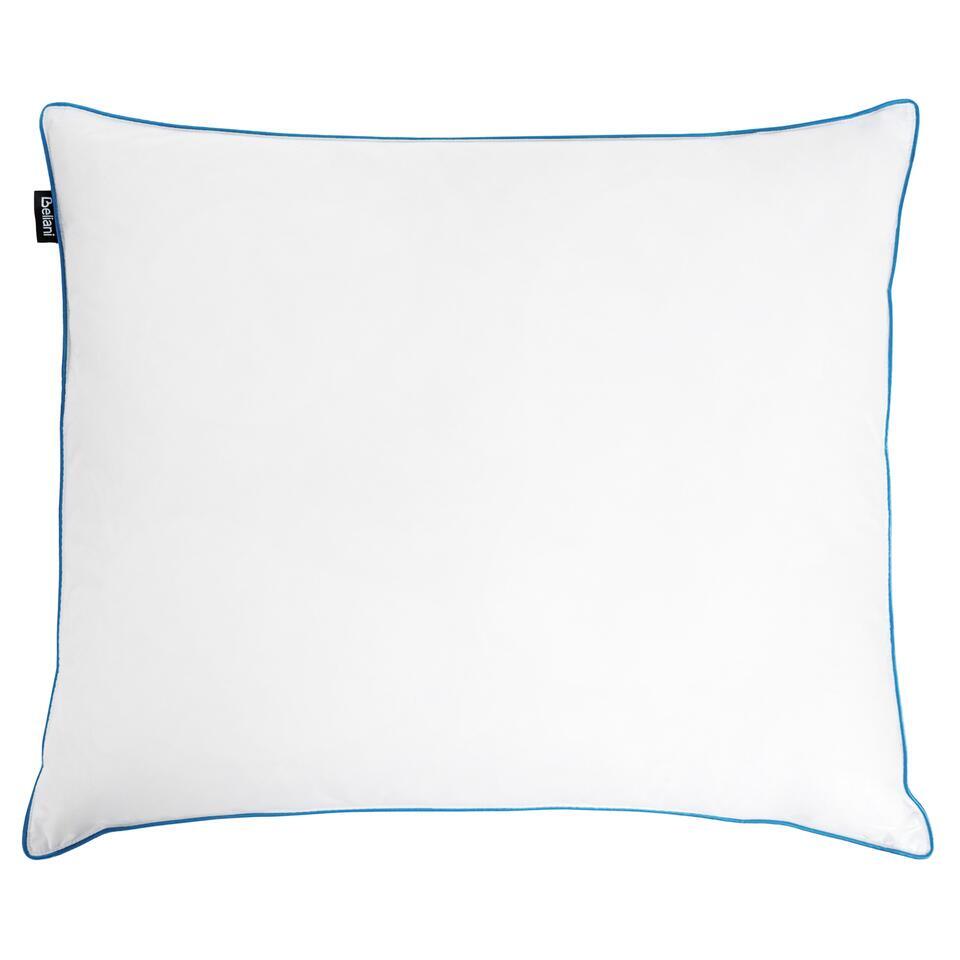 ANETO – Hoofdkussen 3 vakken – Wit – 80 x 80 cm – Hoog – Eendenveren