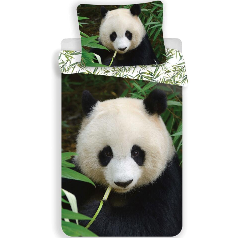 Animal Pictures Panda – Dekbedovertrek – Eenpersoons – 140 x 200 cm – Multi