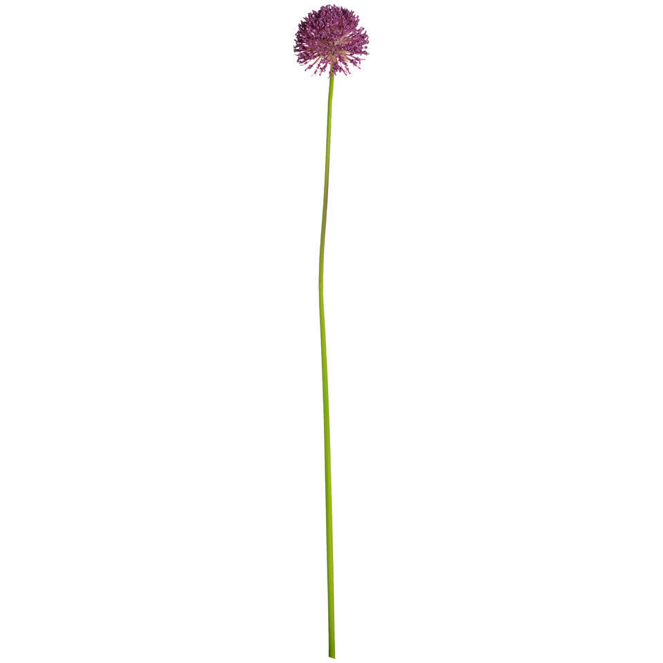 Kunstbloem Allium Spray paars – 72 cm