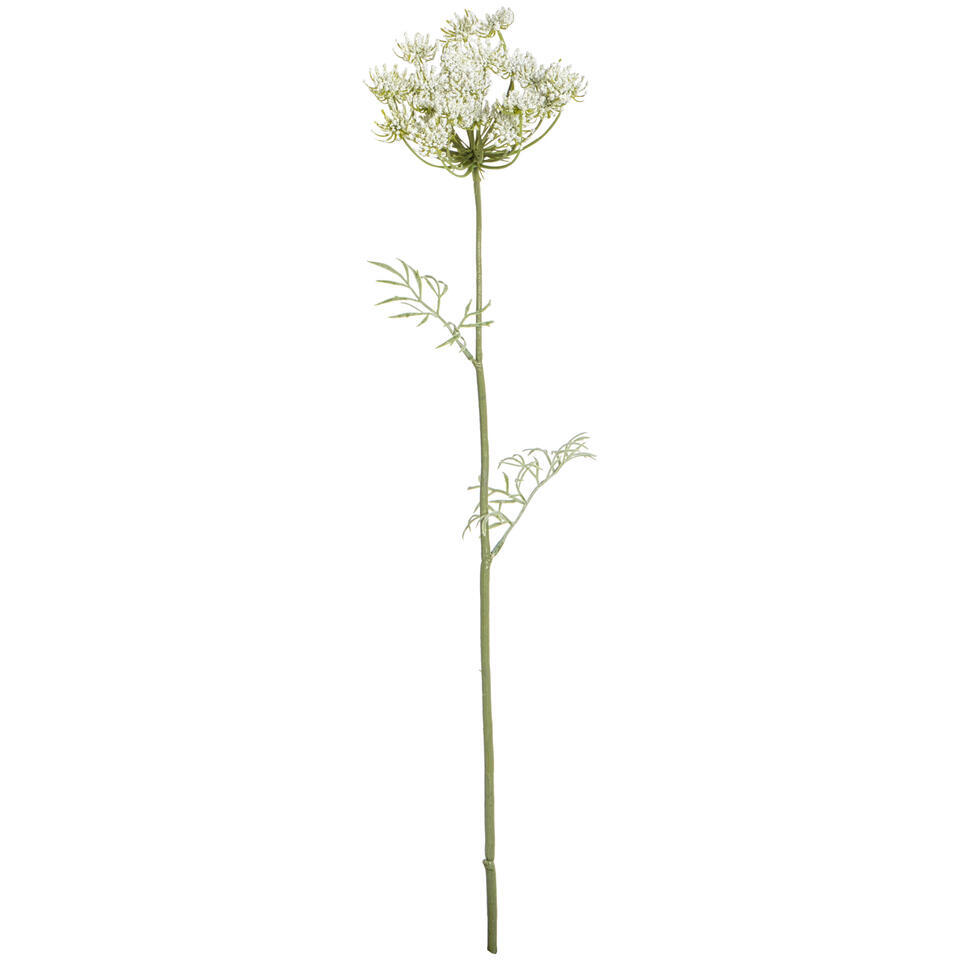 Kunstbloem Dill Spray wit/groen – 76 cm