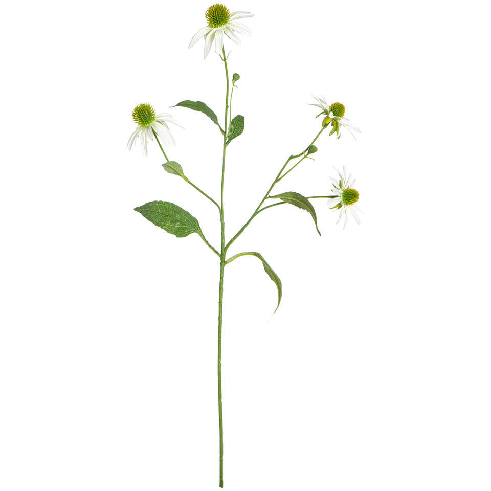 Kunstbloem Rudbeckia Spray wit – 70 cm