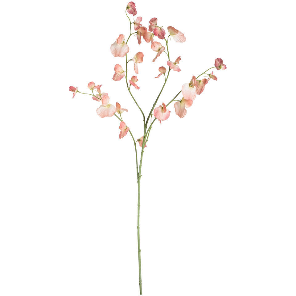 Kunstbloem Lathyrus Spray peach – 113 cm