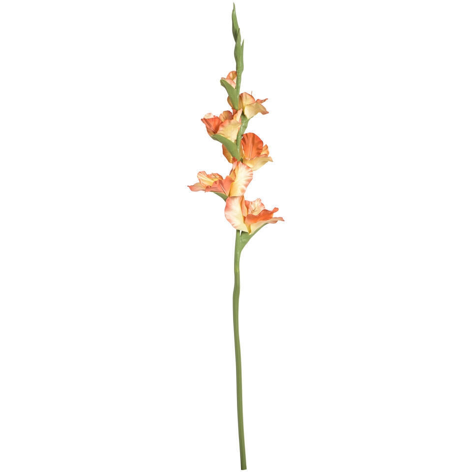 Kunstbloem Gladiolus Spray Peach – 88 cm